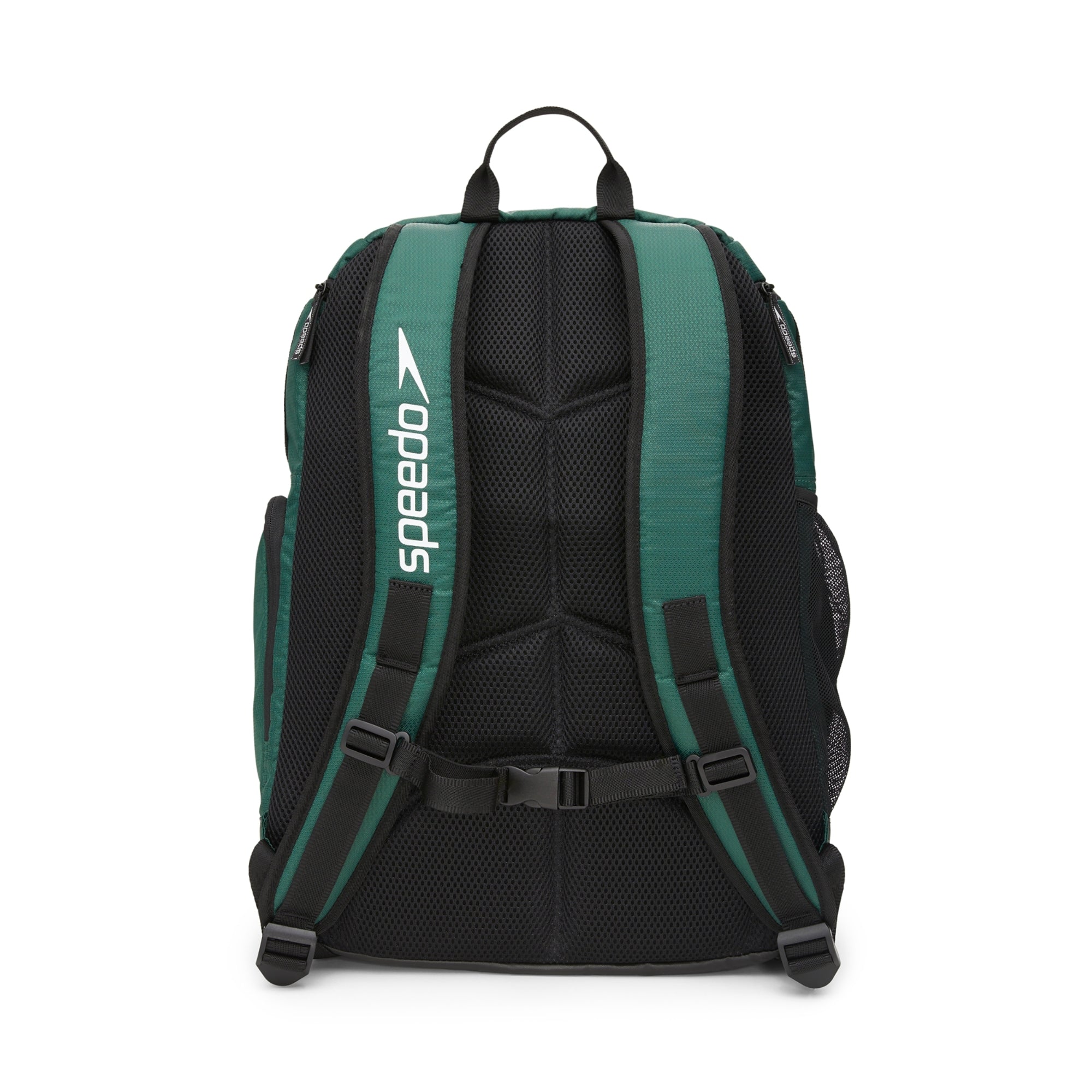 SPEEDO Teamster 2.0 Backpack 35L CPPP