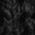deepblack