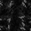 deepblack
