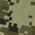 green camo
